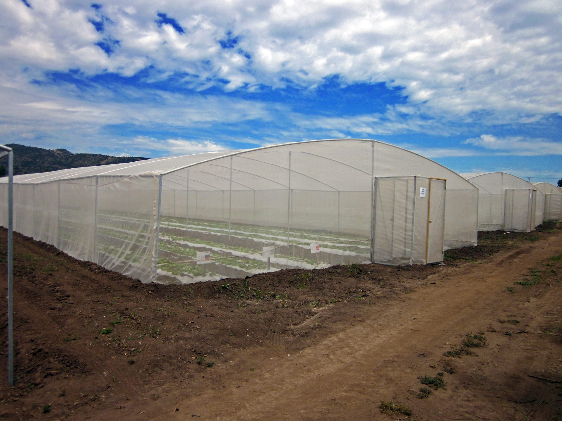 greenhouses
