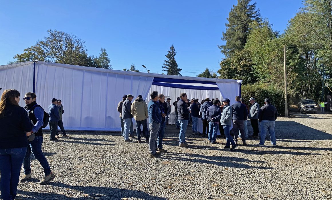 gathering at the home farm in San Carlos