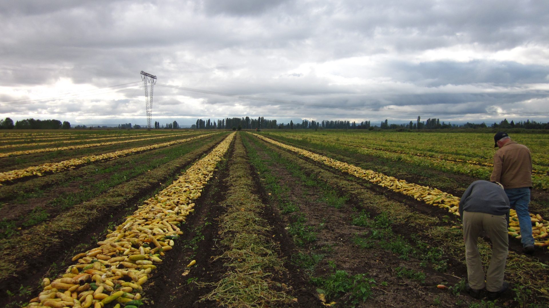 Reunion ex Petoseed ( Marzo 14, 2011) 008