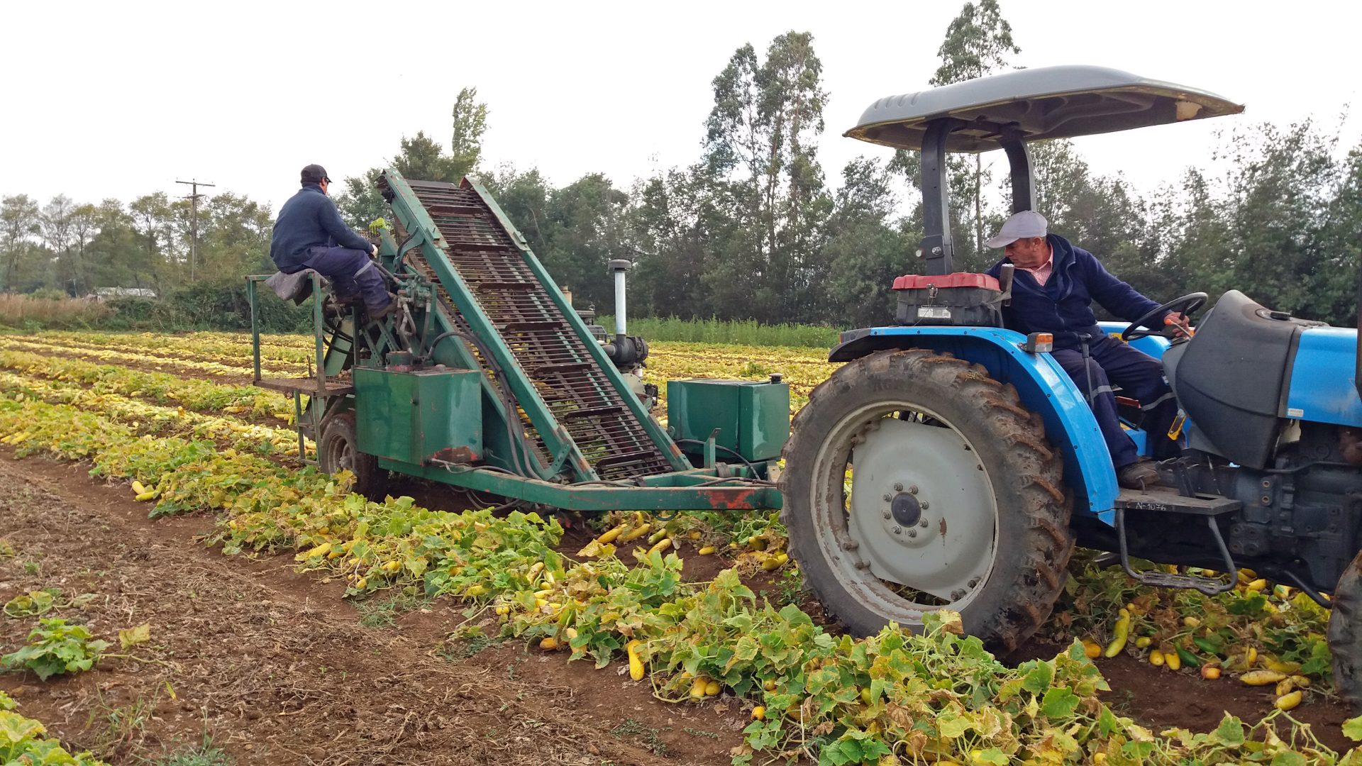harvesting equipment