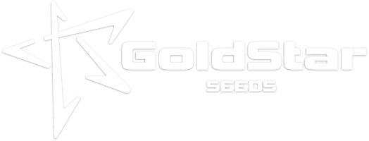 goldstar-logo-white